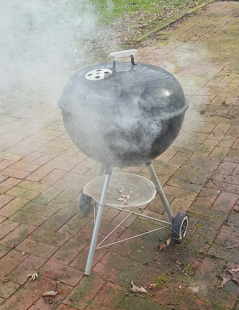 Cold Smoke Generator In Barbecue