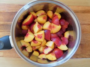 Fruit Leather Recipe