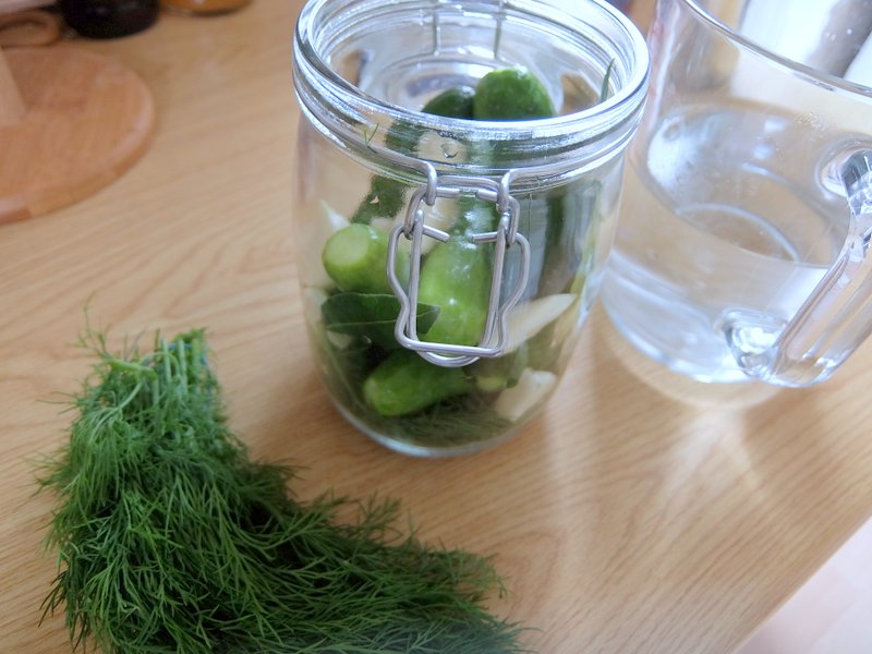 Fermented Dill Pickles