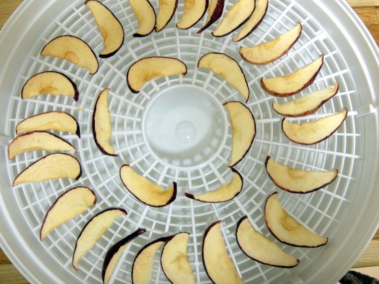 Dehydrating Apples With A Food Dehydrator Or In The Oven Preserve
