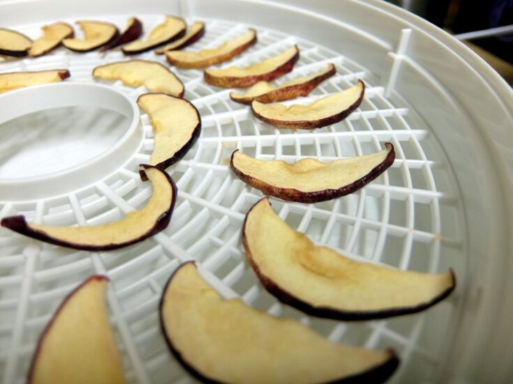 Dehydrating Apples