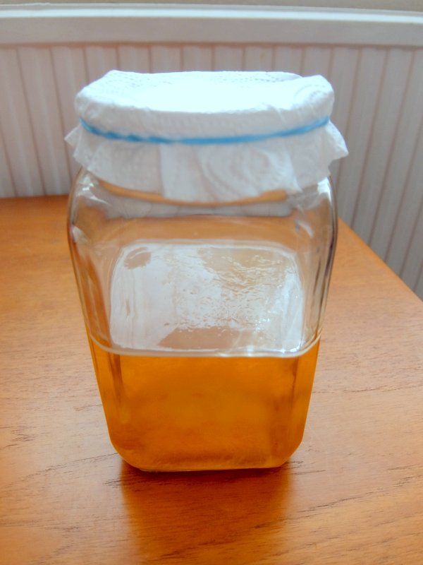 Vinegar Fermentation