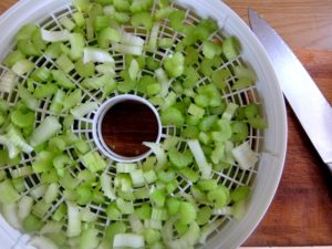 Celery In A Dehydrator
