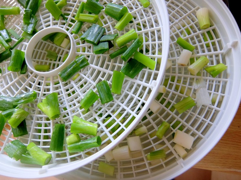 Dehydrating Green Onions