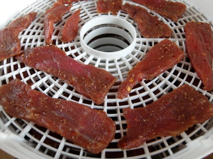 How To Make Beef Jerky in a Food Dehydrator