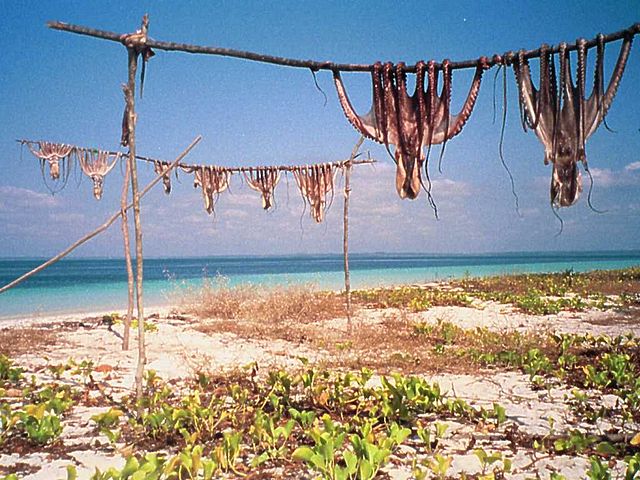 Food Drying Methods