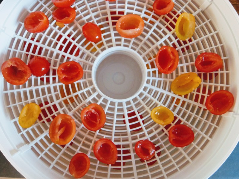 Tomatoes In Dehydrator