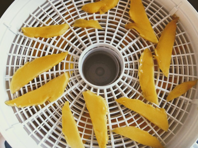 Mango In Dehydrator