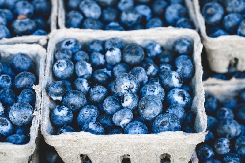 fermented blueberries