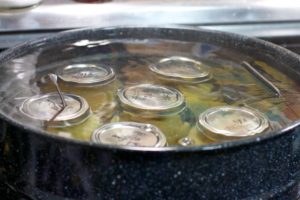 Water bath vs pressure canning