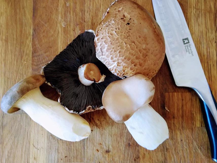 How To Dehydrate Mushrooms