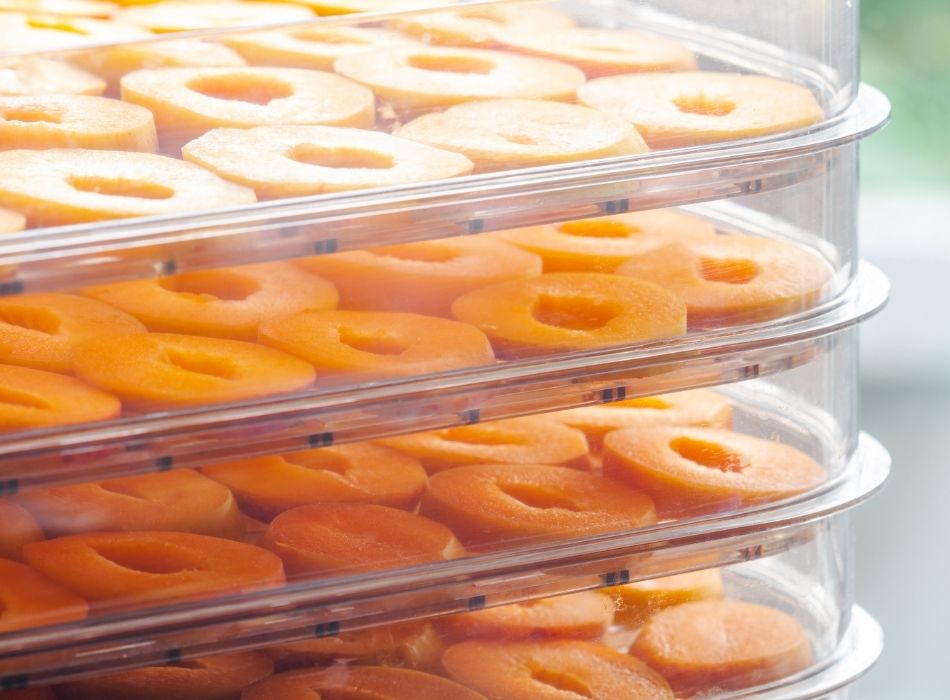 Temperature To Dehydrate Fruit