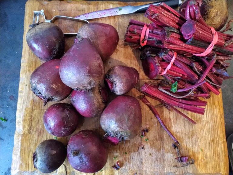 Pickled Beetroot With Red Wine Recipe Preserve & Pickle