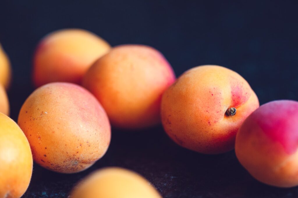 Preserving Apricots