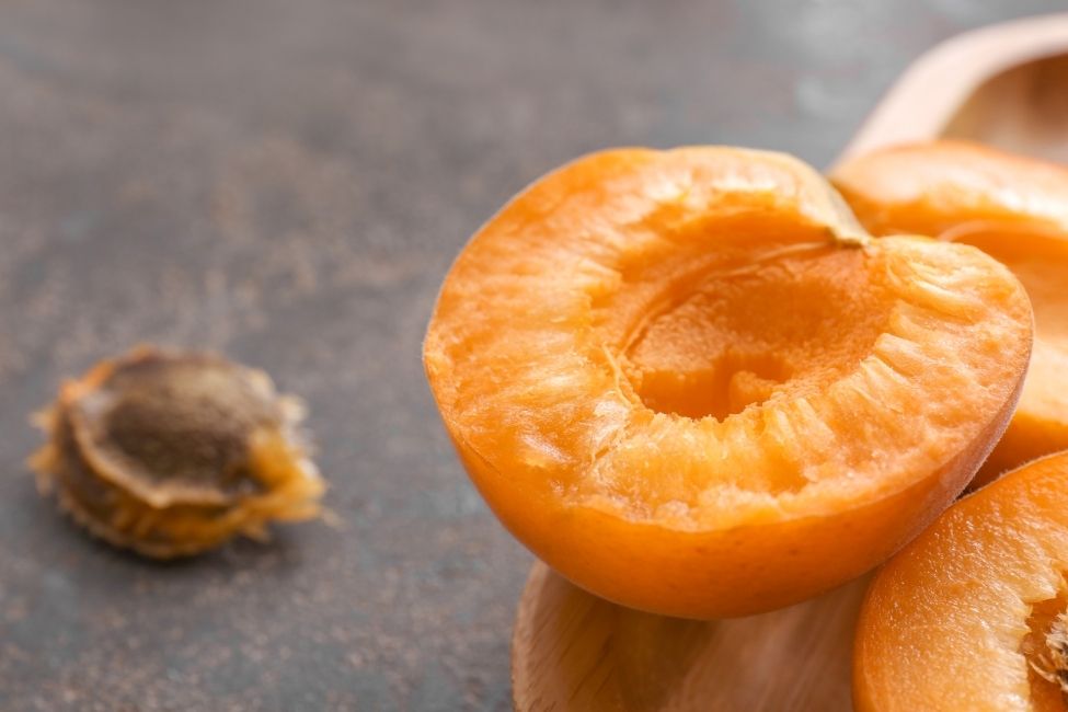 Preparing Apricots