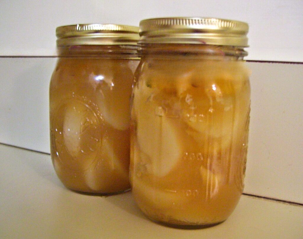 Canning Apples To Preserve